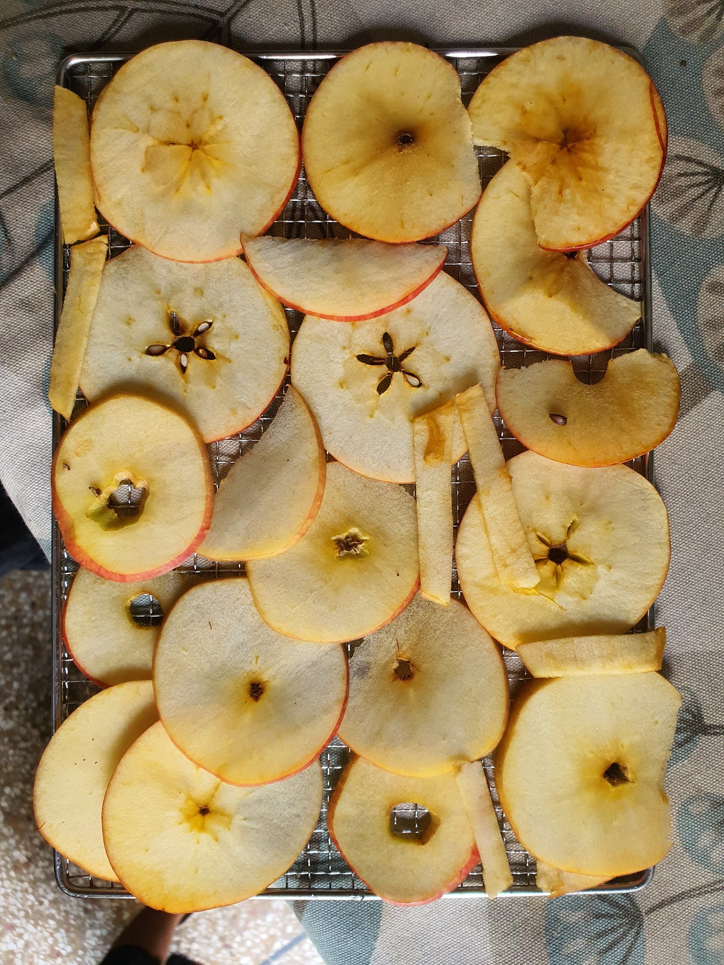 Dehydrated Apples