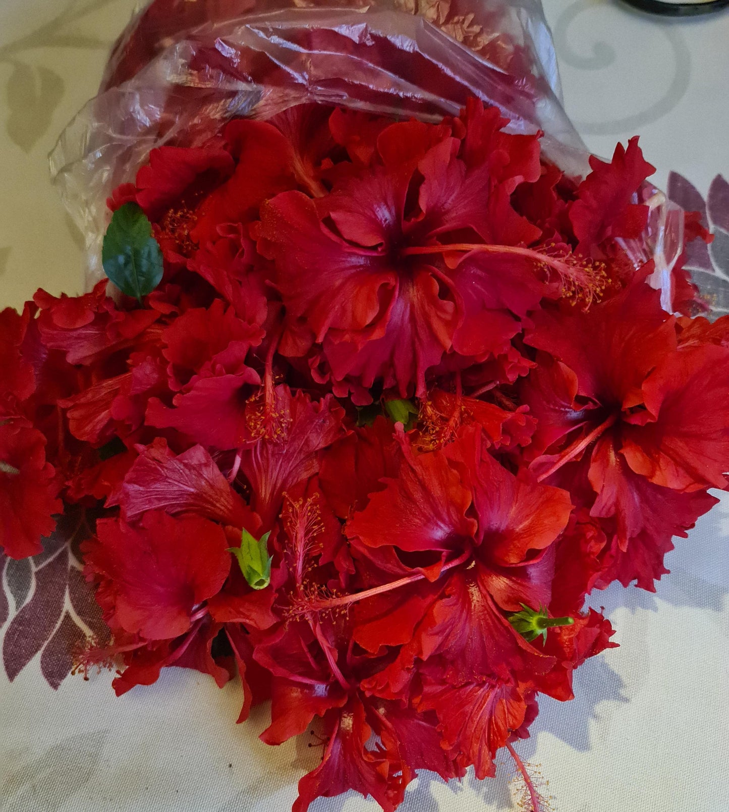 Hibiscus Tea | Hibiscus dry flowers | Gul-e-Gurhal) گل گڑھل