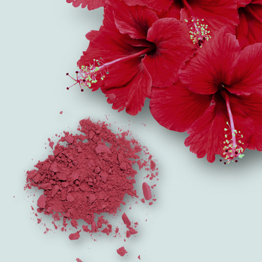 Hibiscus Tea | Hibiscus dry flowers | Gul-e-Gurhal) گل گڑھل