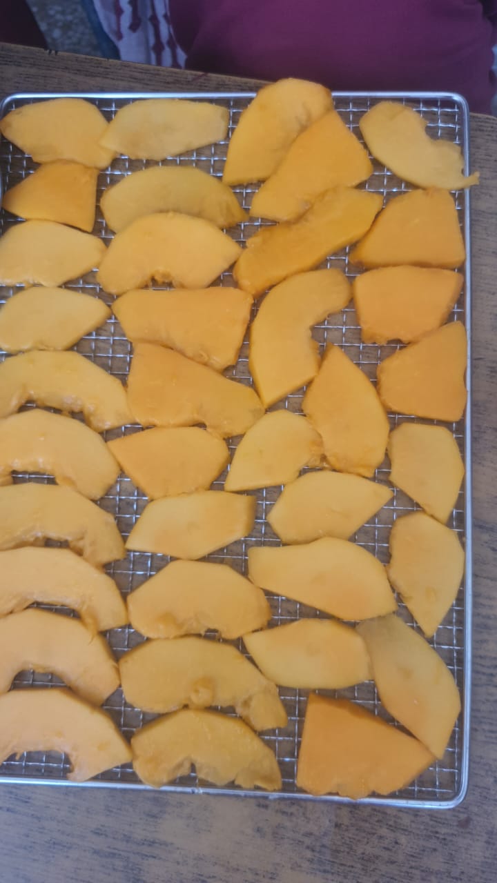 Dehydrated Papaya