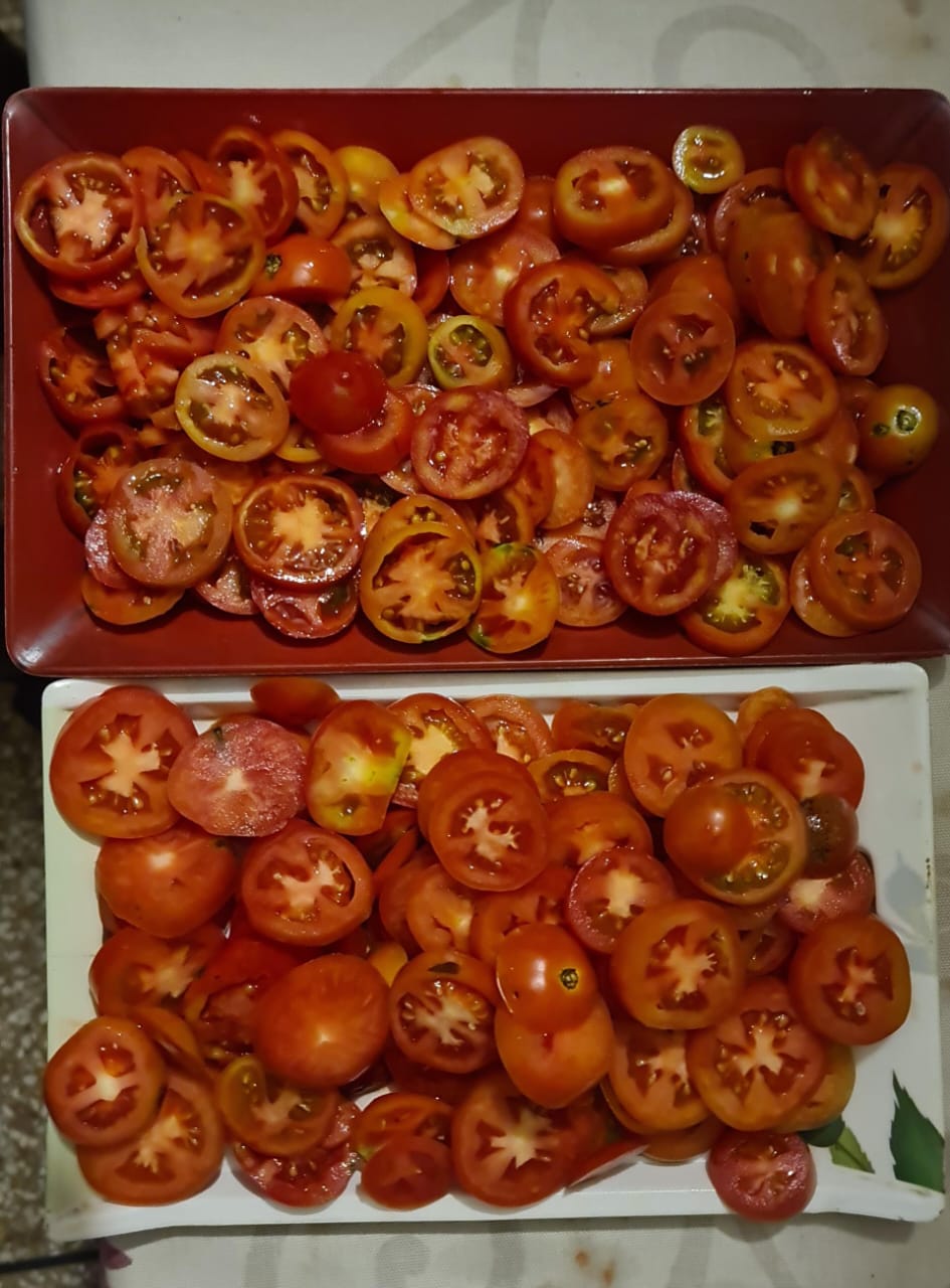 Dehydrated Tomatoes