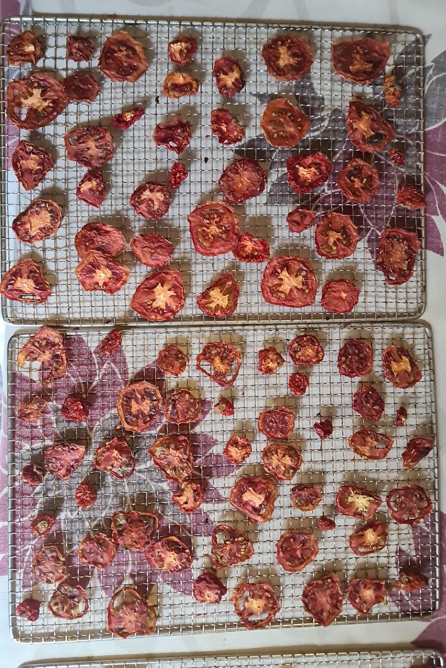 Dehydrated Tomatoes